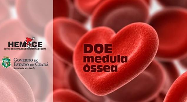 Banner de com glóbulos vermelhos e a frase Doe Medula Óssea 