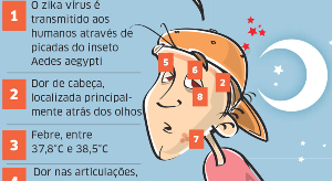 Sintomas do Zika vírus - Imagem ilustrativa - Fonte Ministério da Saúde.