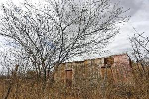 Árvore e vegetação seca, cerca e casa abandonada