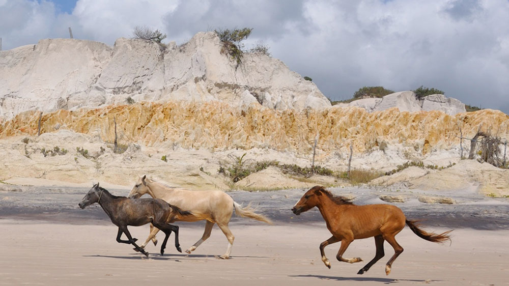 Três Cavalos correndo em areia.