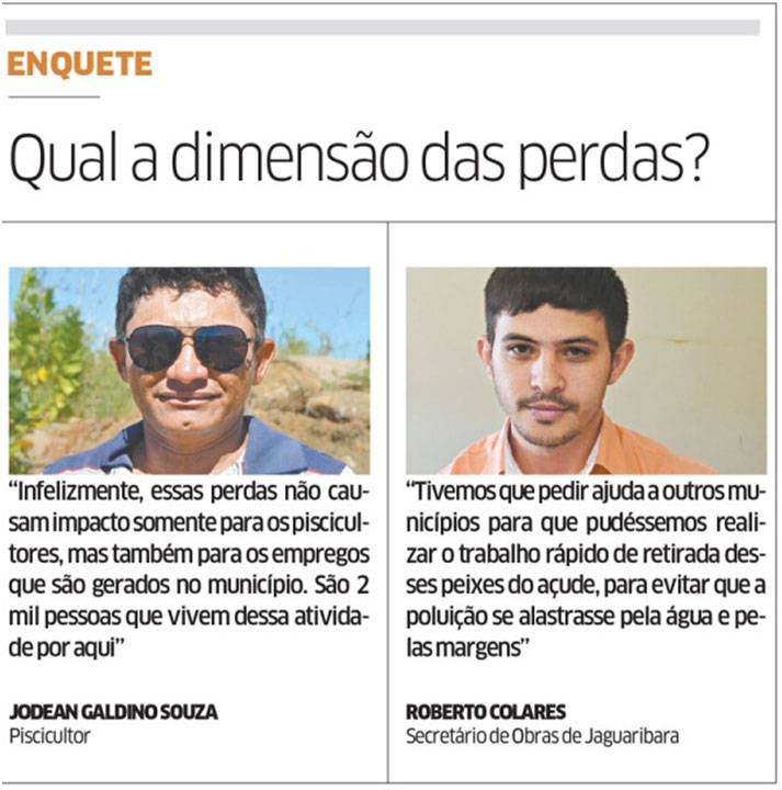 Recorte de jornal do Diário do Nordeste com a pergunta: Qual a dimensão das perdas?