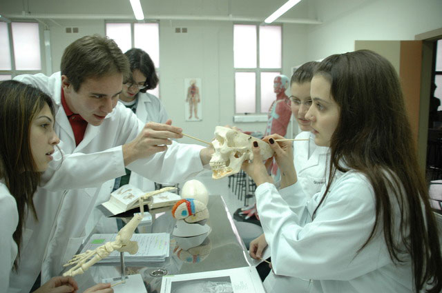 Quatro jovens vestindo jalecos brancos observando um crânio