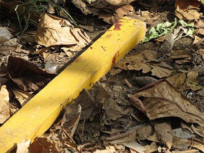 Pedaço de madeira com marcas de sangue jogado entre folhas secas