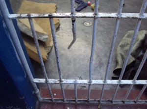 Grades serradas de sela em prisão pública